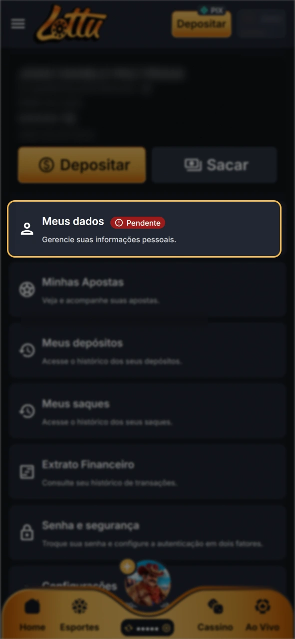 Encontre a página de verificação na sua conta Lottu.